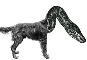 DogSnake