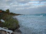 The Beach