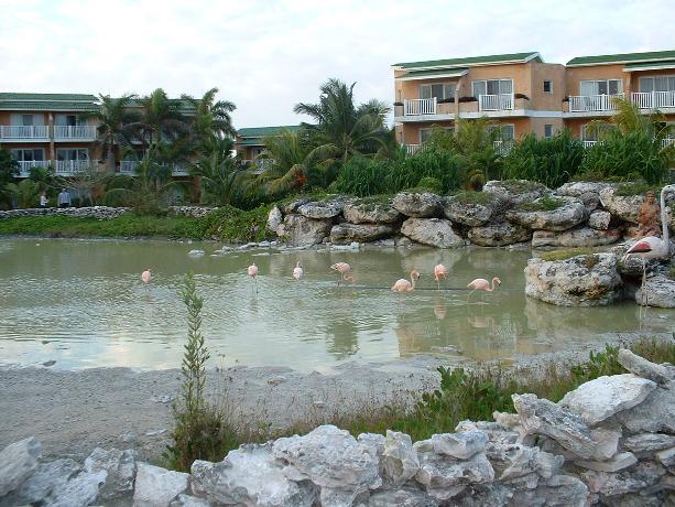 Hotel Tryp Cayo Coco