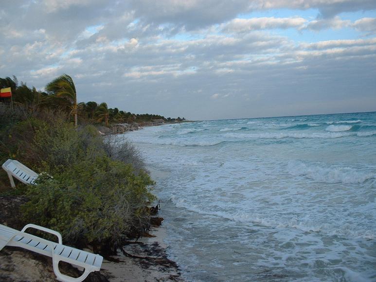 The Beach