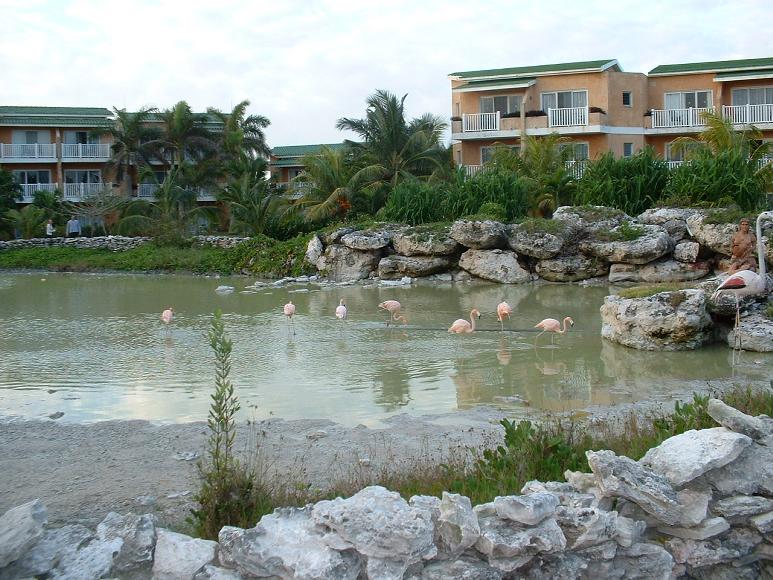 Hotel Tryp Cayo Coco