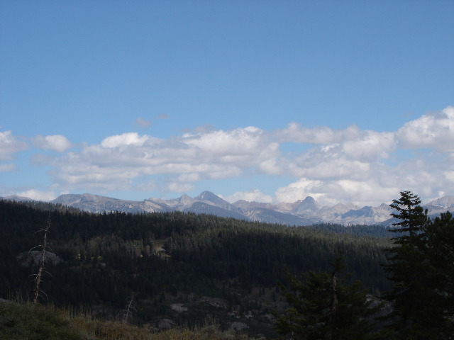 DSC00264.JPG