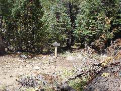 DSC00254.JPG