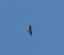 DSC00259.JPG