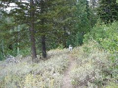 DSC00261.JPG