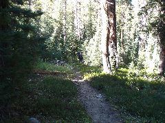 DSC00273.JPG