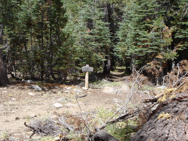 DSC00254.JPG
