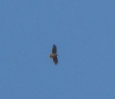 DSC00259.JPG