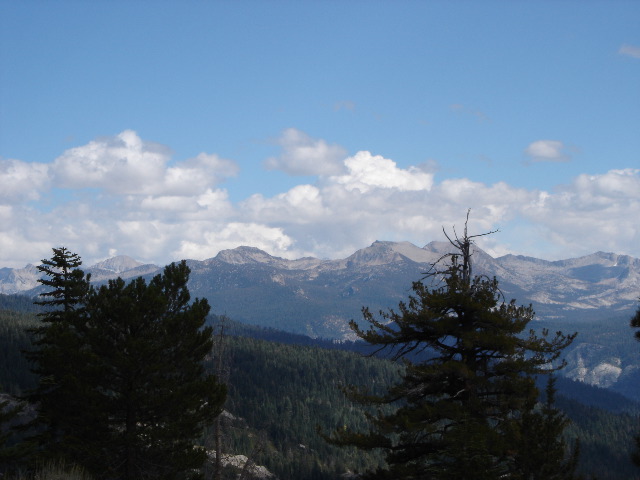 DSC00265.JPG