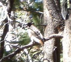 DSC00309.JPG