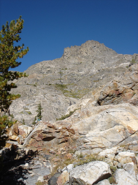 DSC00342.JPG