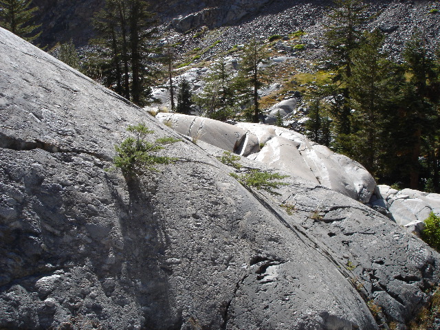 DSC00343.JPG