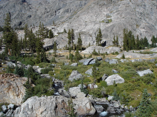 DSC00346.JPG