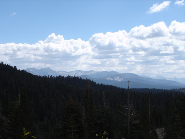 DSC00249.JPG