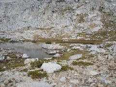 DSC00393.JPG