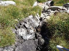DSC00394.JPG