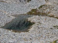 DSC00395.JPG