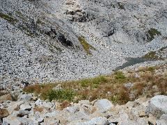 DSC00396.JPG