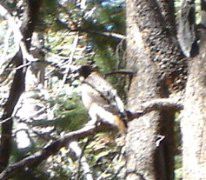 DSC00309.JPG