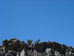 DSC00315.JPG