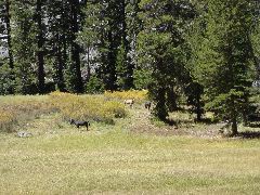 DSC00322.JPG