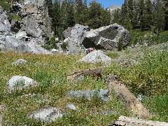 DSC00324.JPG