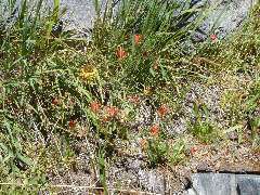DSC00325.JPG