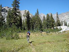 DSC00334.JPG