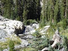 DSC00337.JPG