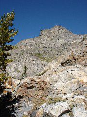 DSC00342.JPG