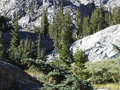 DSC00350.JPG