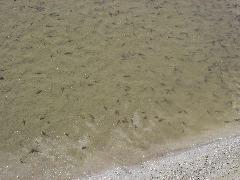 DSC00374.JPG